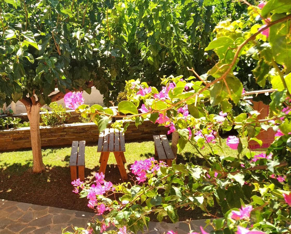 Studio 35sqm in Soúgia Esterno foto